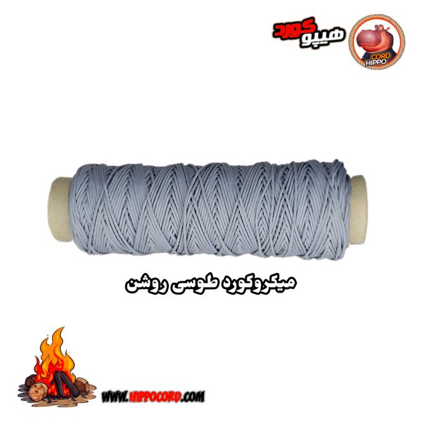 طناب میکروکورد هیپو طوسی روشن